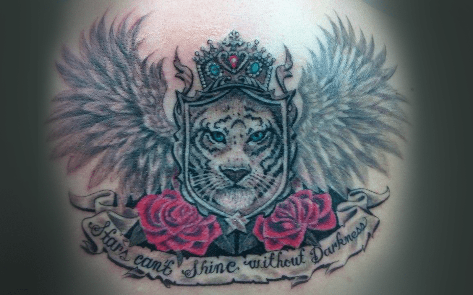 Secondary Banner
